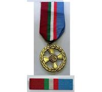 MEDAGLIA + NASTRINO PER LA PUBBLICA SICUREZZA OPERAZIONE DOMINO STRADE SICURE