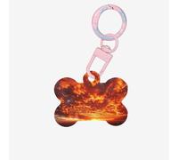 Medagliette identificative per animali domestici Il cielo alla fine del mondo, medagliette per cani e gatti personalizzate, a forma di osso, in acrilico, rosa chiaro, piccole
