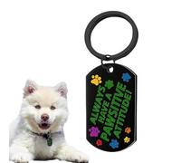 Medagliette rettangolari per gatti, in acciaio, per cani e gatti, leggere, con incisione antiruggine, per collare per cani e gatti