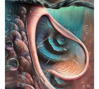 Various Artists Meddle Reimagined - a Tribute to Pink Floyd (Blue) (Vinyl LP)