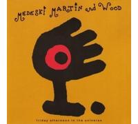 Medeski Martin & Wood - Friday Afternoon in the Universe