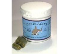 Medical Bioecological Instruments DR POCK CARTILAGO'S 50 CAPSULE