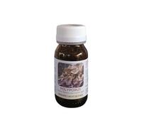 Medical Bioecological Instruments Integratore Dr Pock Polyporus difese naturali, 50 capsule