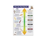 Medical Educational Wall Art - Bristol Stool Chart Poster Digestive Health Reference, Unique Decor for Doctor Office Clinic Home (Unframed,16x24inch(40x60cm))
