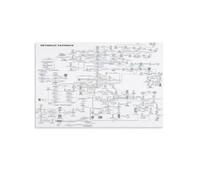 Medical Science Decor Canvas Print Human Metabolic Pathways Chart Educational Wall Art for Office Lab(Framed,12x18inch(30x45cm))