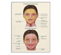 Medical Wall Decor: Facial Fat Pads Anatomy Poster for Esthetician and Surgery Knowledge(Unframed,16x24inch(40x60cm))