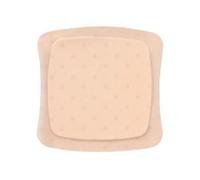 Medicazione Sterile In Schiuma Di Poliuretano Idrocellulareaquacel Ag Foam Adesiva 21x21 Cm 5 Pezzi