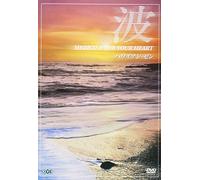 波 ~Medicine For Your Heart~ Hawaiian Zen ハワイアン・ゼン [DVD]