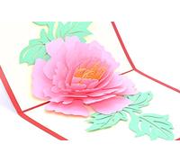 Medigy Pop-up 3D Biglietto d'auguri fatto a mano, Scheda in bianco,Peonia Rosa