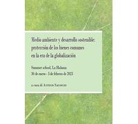 Medio ambiente y desarrollo sostenible: protección de los bienes comunes en la e