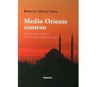Medio Oriente conteso. Turchi, arabi e sionisti in un conflitto lungo un secolo