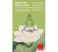 Meditare con la vita. Tutto quello che c'è da sapere sulla mindfulness