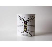 Meditathe - Polo Sud 337 Tazza letteraria, Shelley
