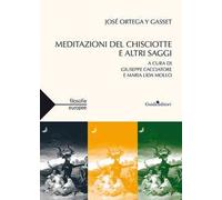 Meditazione del Chisciotte e altri saggi