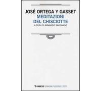 Meditazioni del Chisciotte