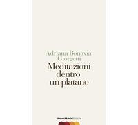 Meditazioni dentro un platano