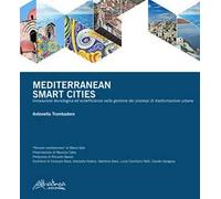 Mediterranean smart cities. Innovazione tecnologica ed ecoefficienza nella gestione dei processi di trasformazione urbana. Ediz. multilingue