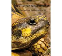 Mediterranean Tortoises: Where and How they Live in the Wild