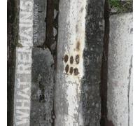 Mednick, Steve - What Remains