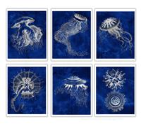 Medusa Stampa Cobalto Blu Set Di 6 senza Cornice Spiaggia Arte Costiero Decor