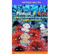 Meduse & ricci. Riflessioni e rimembranze livornesi urticanti e pungenti, anche in cucina