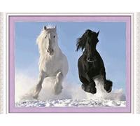 Meecaa Kit per punto croce, 11 punti, con cavallo bianco e nero, kit da ricamo con accessori prestampati (40 cm x 50 cm) (cavallo bianco e nero)
