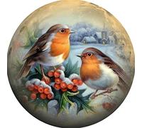 Meecaa Kit per punto croce prestampato a 11 punti, con uccelli, bacche e neve, kit da ricamo con accessori prestampati (36 cm x 36 cm) (uccello)