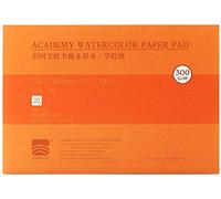 MEEDEN Carta per acquerello: 20 fogli 300 g/m² Blocco di pittura a blocchi per acquerello liscio A3 Carta acrilica Carta da disegno per acquerello a guazzo Pittura a olio, Regali per artisti, 10×15"