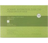 MEEDEN Carta per acquerello: 20 fogli 300 g/m² Cotone medio Blocco per acquerello senza acidi Blocco per pittura A3 Carta acrilica per pittura a olio a guazzo ad acquerello, regali per artisti, 10×15"