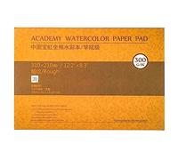 MEEDEN Carta per acquerello: 20 fogli 300 g/m² Cotone ruvido Blocco per acquerello senza acidi Blocco di pittura Carta acrilica per acquerello Gouache Pittura a olio, Regali per artisti bambini, 12×9"