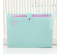 Meekye Cartellina portadocumenti formato A4, con 12 scomparti e 16 etichette, formato A4, per documenti, per la casa, l'ufficio, la scuola, le ricevute e i viaggi, verde chiaro