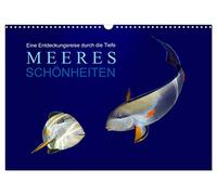 Meeres Schönheiten (Wandkalender 2026 DIN A3 quer), CALVENDO Monatskalender: Eine Entdeckungsreise durch die Tiefen des Meeres. Fotografien und Collagen von Tina Melz