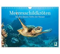 Meeresschildkröten: Aus den blauen Tiefen der Ozeane (Wandkalender 2026 DIN A4 quer), CALVENDO Monatskalender: Meeresschildkröten: Freiheit in den Tiefen der Meere