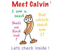 Meet Calvin : Children's book about the growth of a seed: A seed named Calvin : What will I become ? Follow the journey Calvin the seed