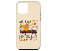 Meet Me At The Pumpkin Patch, Raccolto divertente della stagione autunnale Custodia per iPhone 12 mini