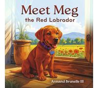 Meet Meg the Red Labrador
