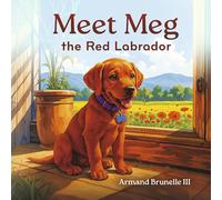 Meet Meg the Red Labrador