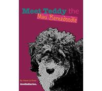 Meet Teddy the Mini Bernedoodle