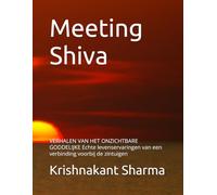 Meeting Shiva: VERHALEN VAN HET ONZICHTBARE GODDELIJKE Echte levenservaringen van een verbinding voorbij de zintuigen