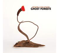 Meg Baird And Mary Lattimore - Ghost Forests