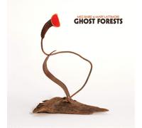 Meg Baird & Mary Lattimore Ghost Forests (CD) Album
