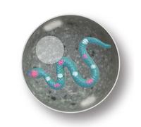 Mega Bounce - Serpente di Deluxebase. Una grande palla rimbalzante con una statuetta di animale all'interno, un grande giocattolo per bambini