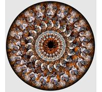 Megadeth - Megadeth Limited Zoetrope Vinyl, Megadeth