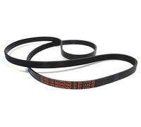 Megadyne - Cinghia per lavatrice EL 1173 J5 (3616591100)