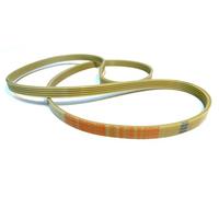 Megadyne - Cinghia per lavatrice EL 1183 J5 (36984800)