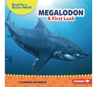 Megalodon: A First Look