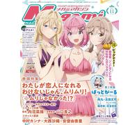 Megami Magazine Nov 2025 Japan Bishoujo Anime Pinup Visual Girls Character Book