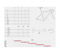 Megamo Bicicletta Da Gravel Silk 10 Apex 2025 Grey