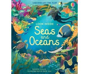 Megan Cullis Look Inside Seas and Oceans (Libro di cartone) Look Inside