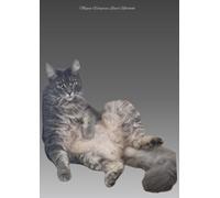 Megan Wingrove Notebook | A4 Lined Paper | 100 Pages | Paperback | Just Chilling Comfy Cat Cover: Suitable for all ages